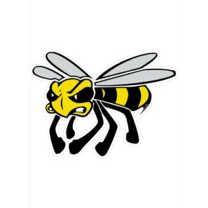 Ilustración de un vector de Angry Wasp en colores amarillo y negro, ideal para estampar en playeras, sudaderas y artículos personalizables.